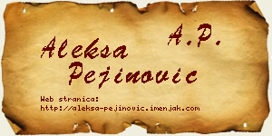 Aleksa Pejinović vizit kartica